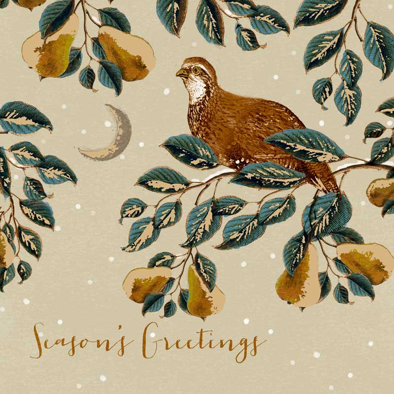 Partridge - 10 Pack