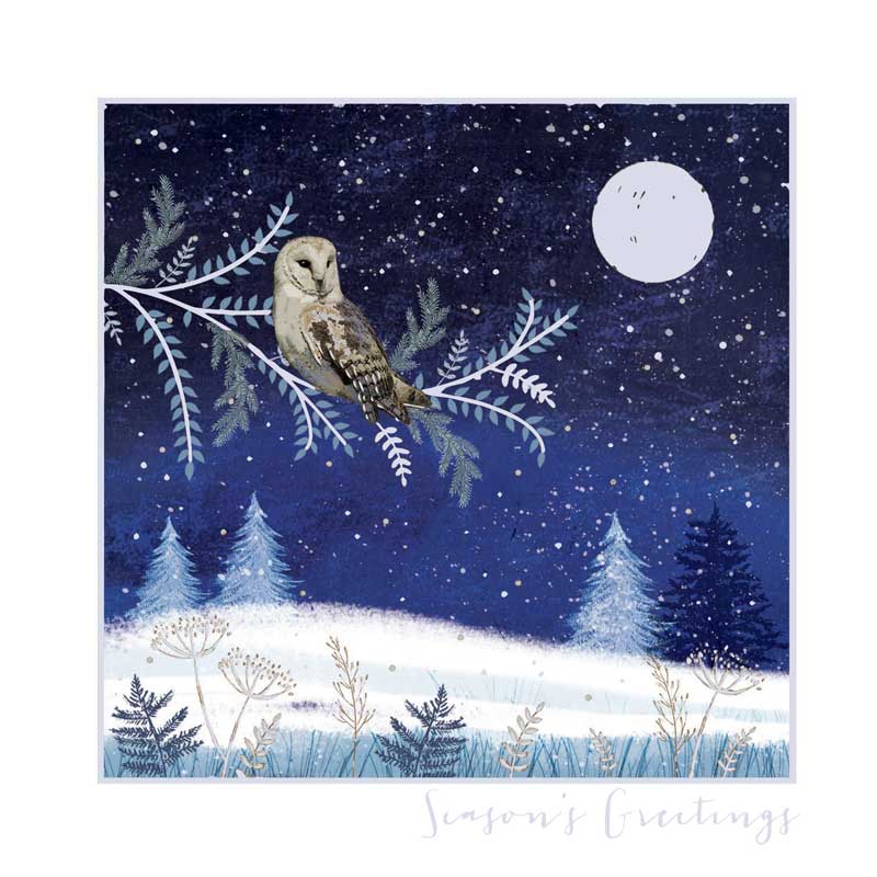 Snowy Owl - 10 Pack
