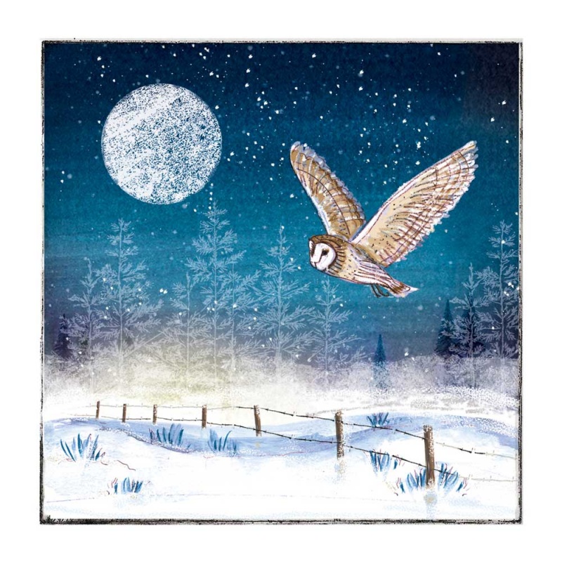 Snowy Owl - 10 Pack