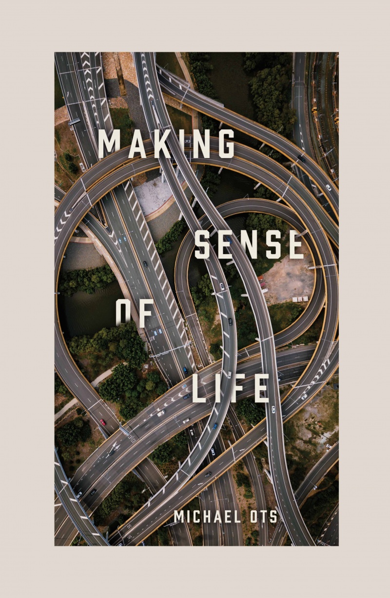 Making Sense of Life