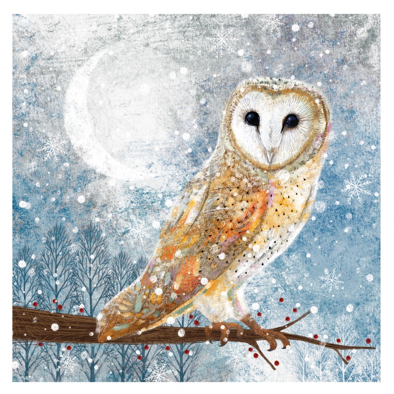 Snowy Owl - 10 Pack