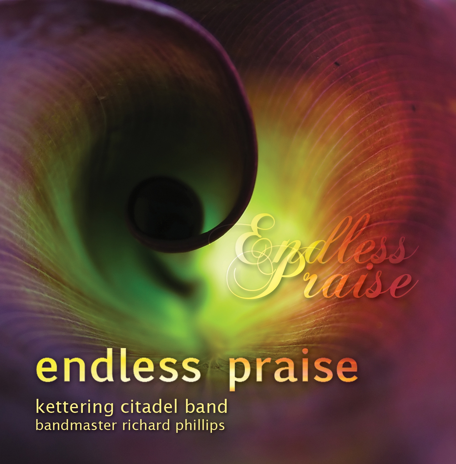 Endless Praise - Download