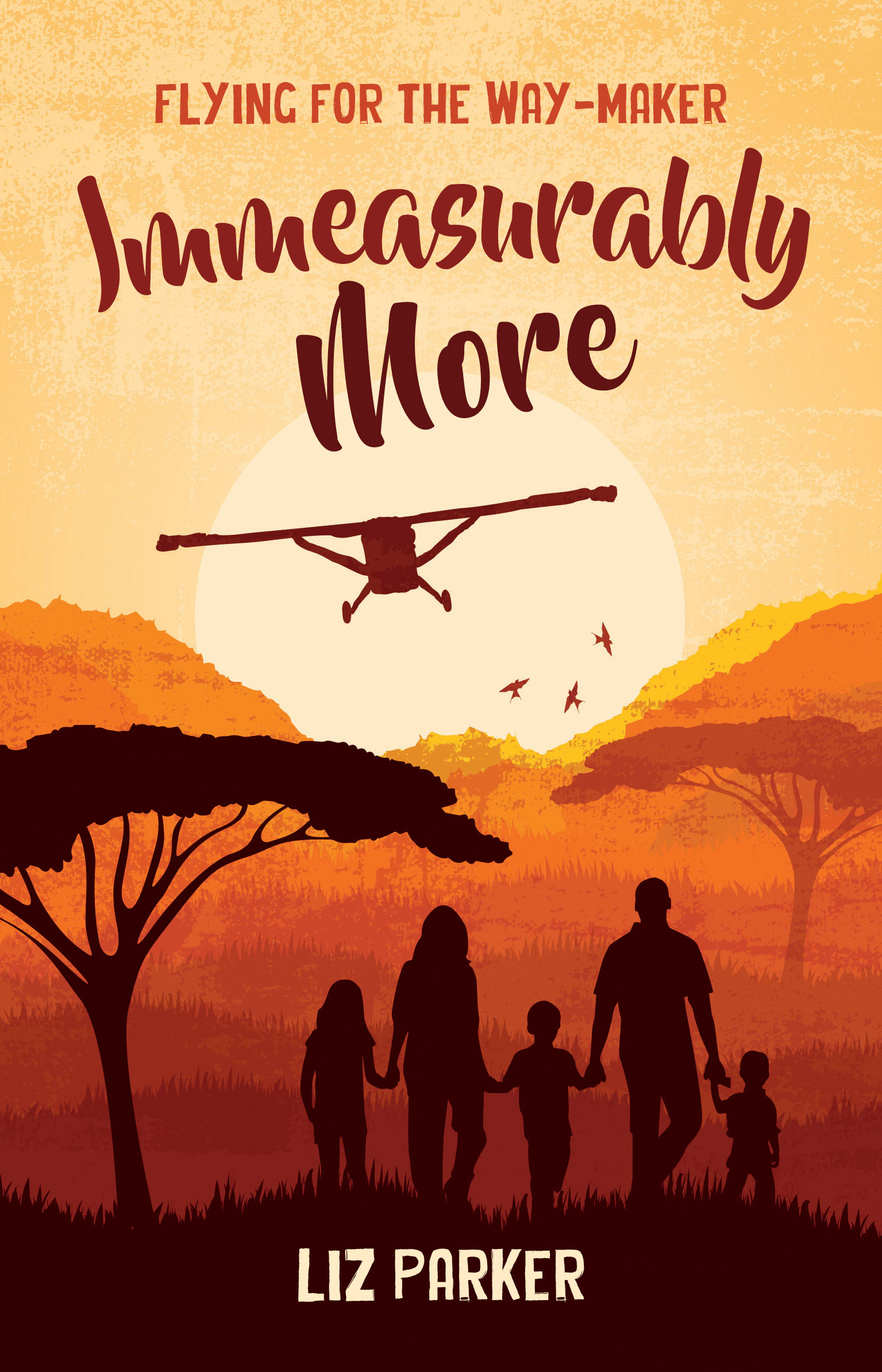 Immeasurably More - Flying for the Way-Maker