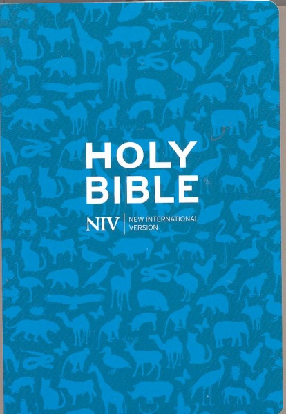NIV Pocket PaperBack Bible