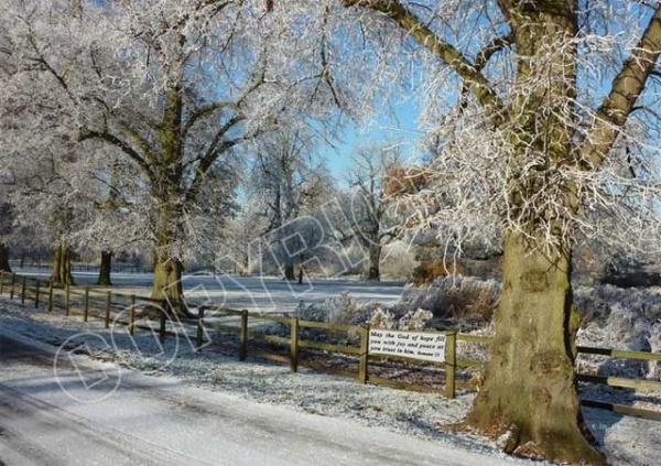 A Frosty Day Mounted Print