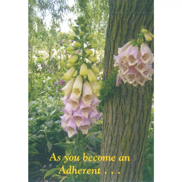 Adherent Card - Foxgloves