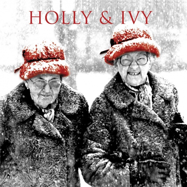 Holly and Ivy - 10 Pack