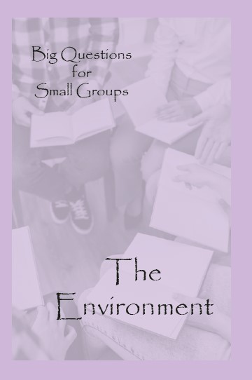 Big Questions for Small Groups: The Environment