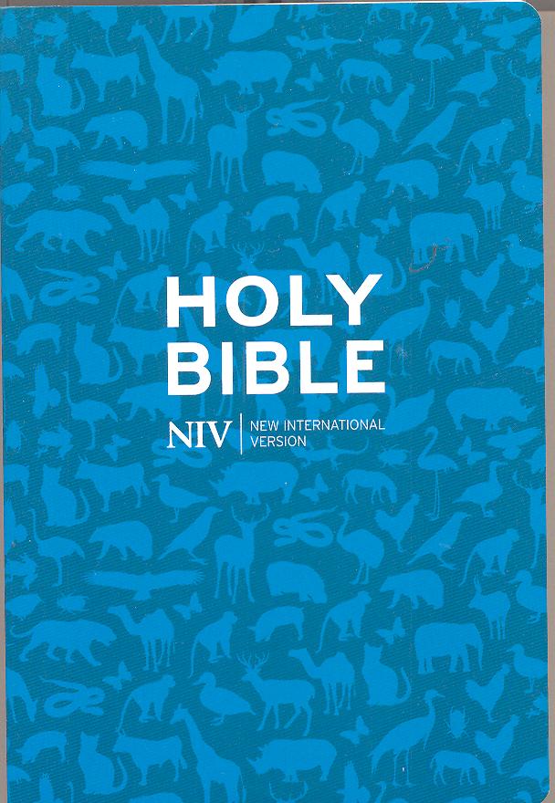 NIV Pocket PaperBack Bible