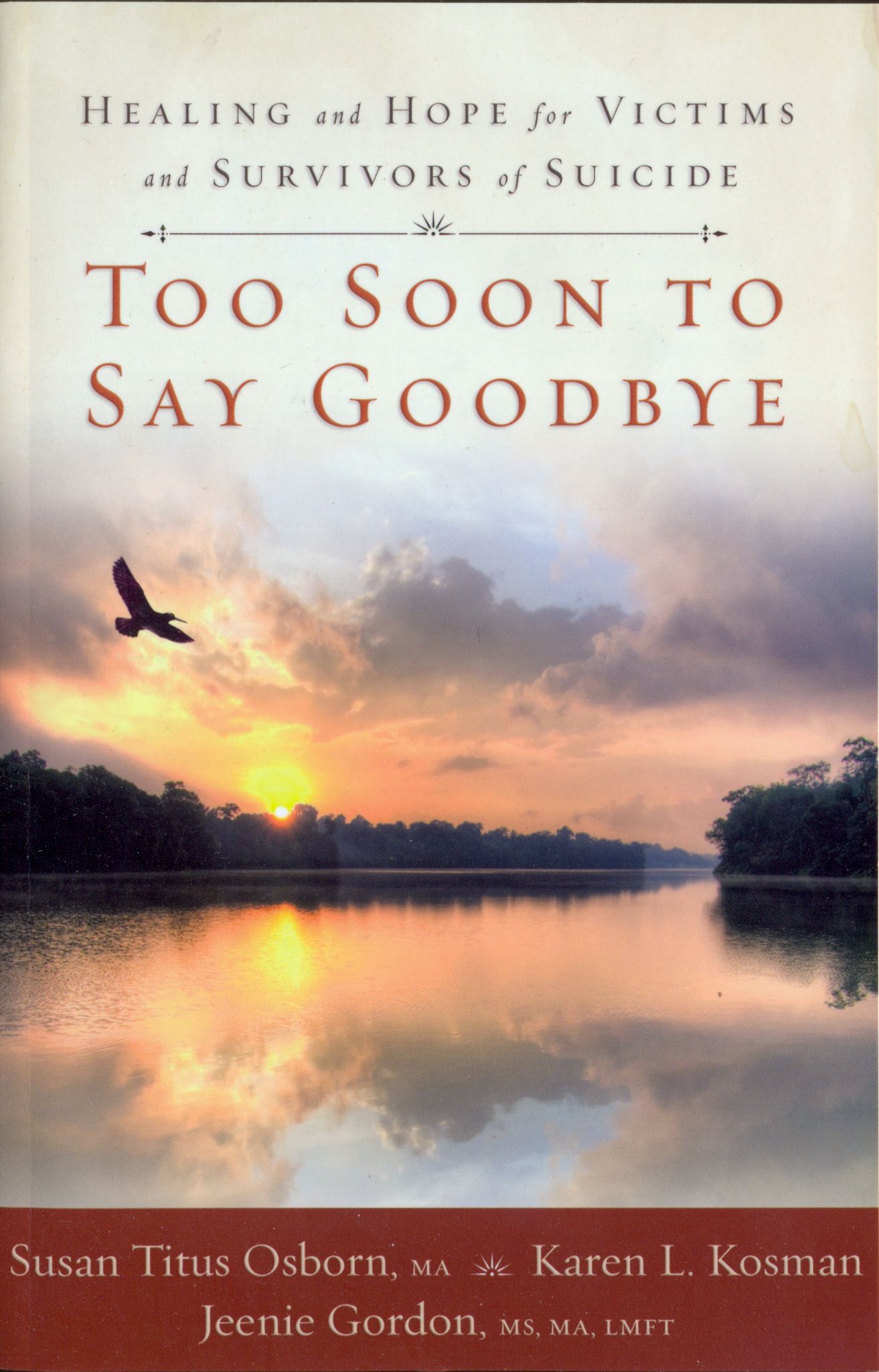 Too Soon to Say Goodbye - Healing and Hope for Victims and Survivors of Suicide