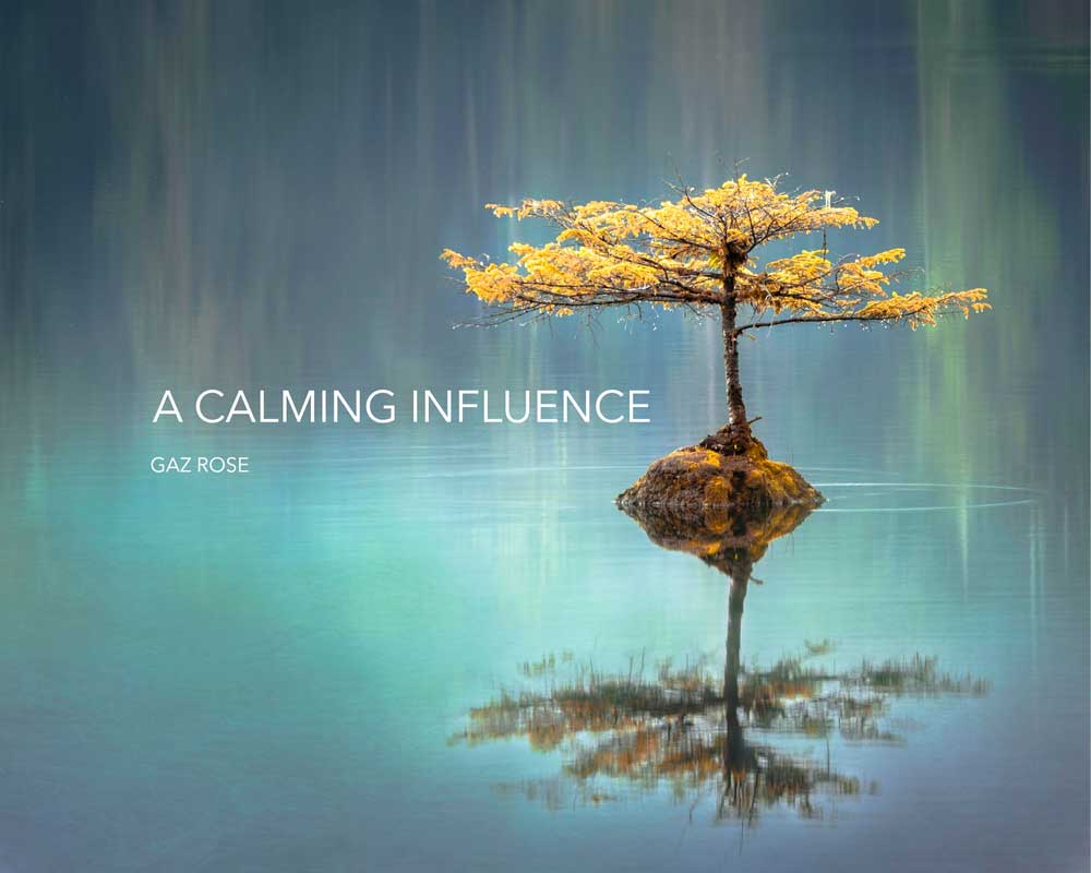 A Calming Influence - Download