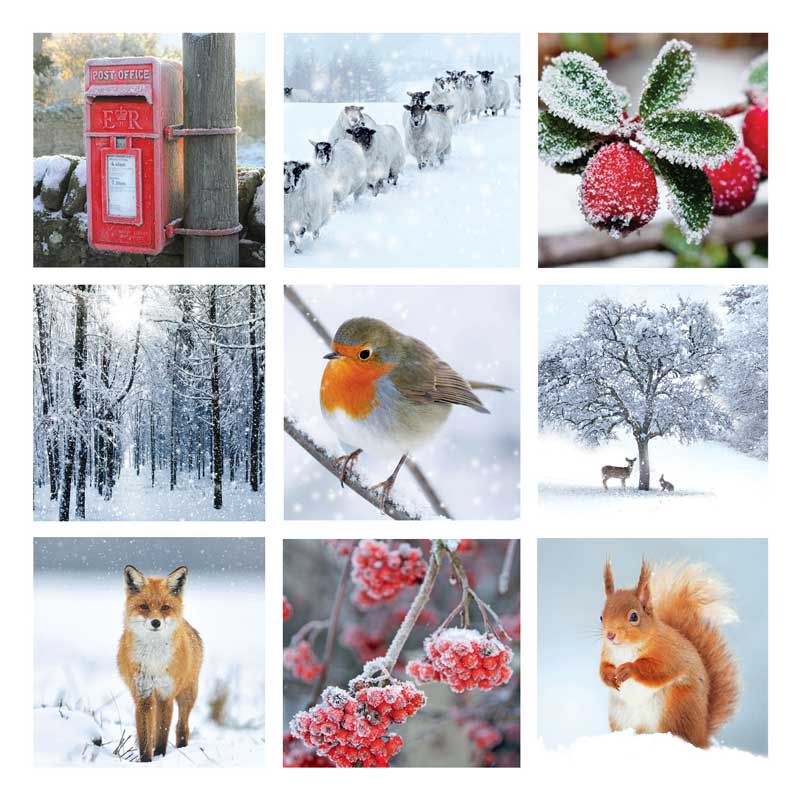 Winter Montage - 10 Pack