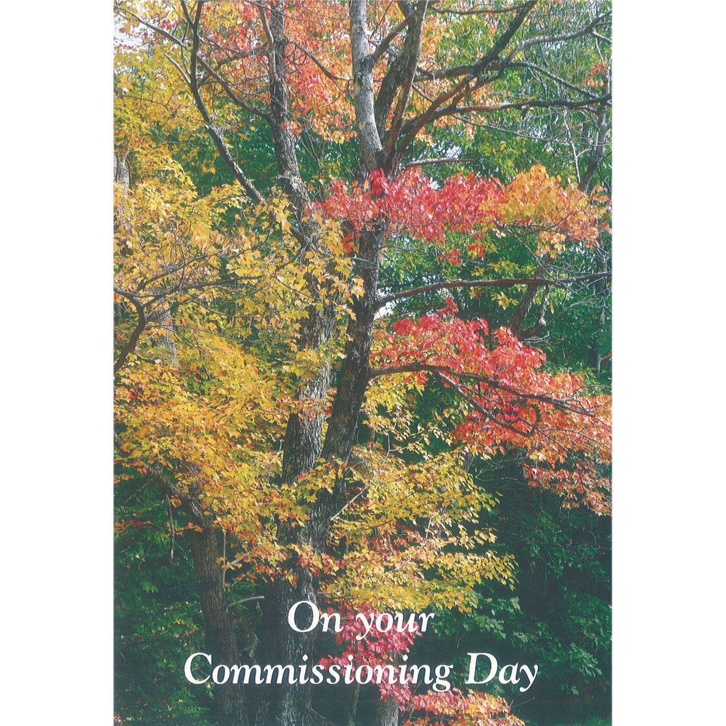 Commissioning Card - Autumn