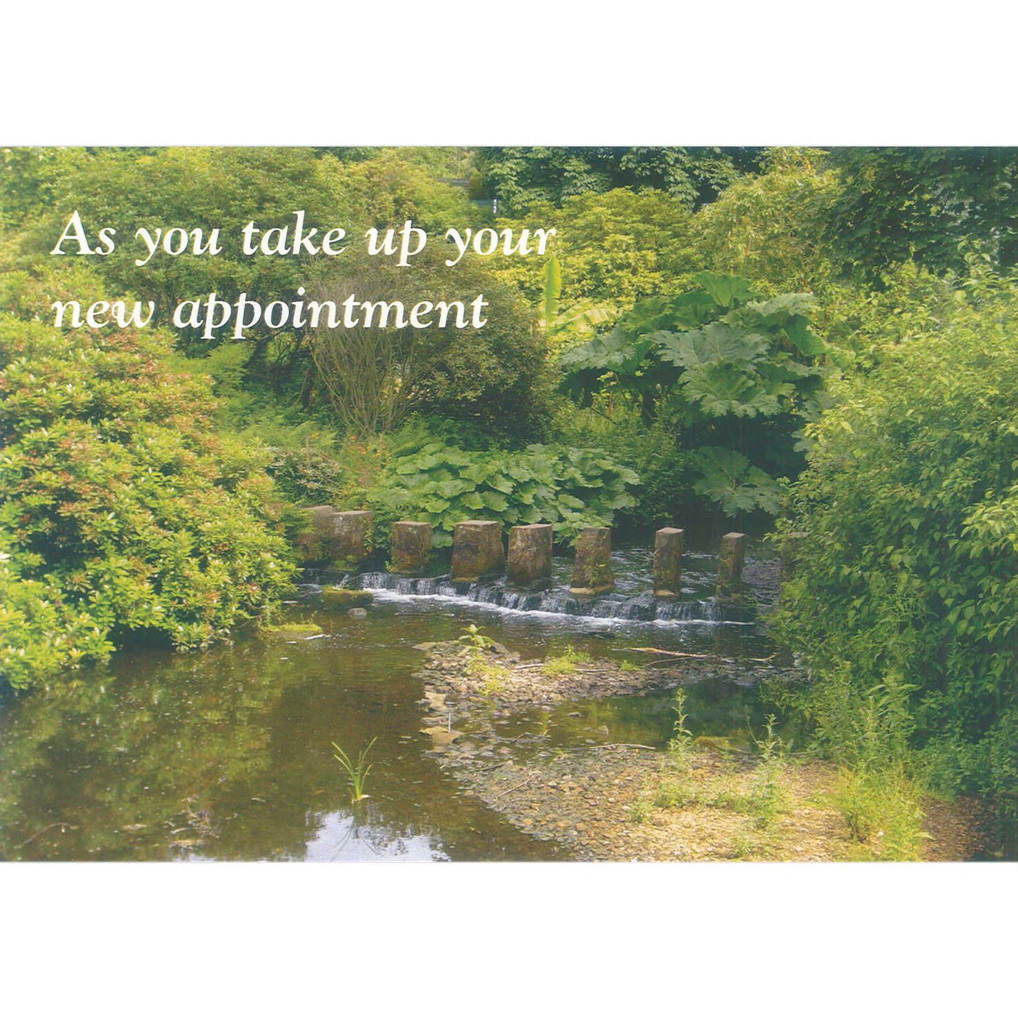 New Appointment Card - Waterfall
