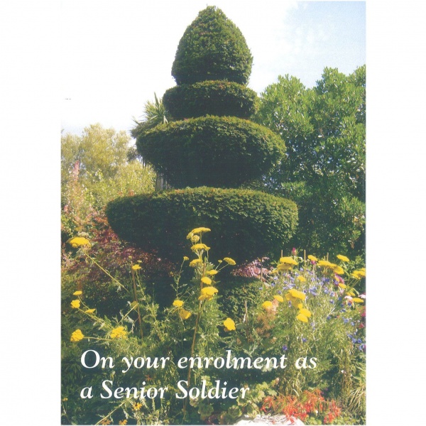 Senior Soldier Card - Topiary