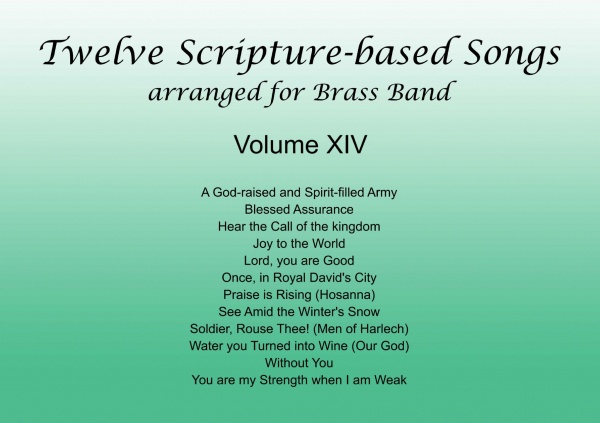 Twelve Scripture-based Songs Volume XIV